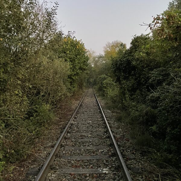 image00007